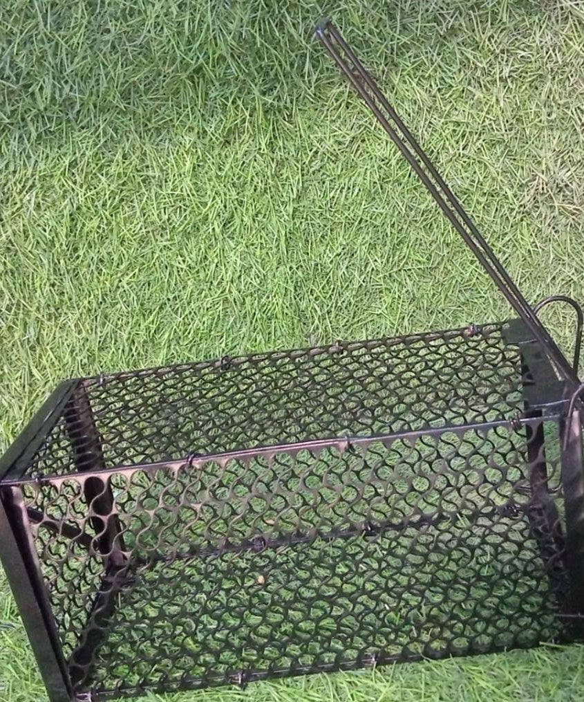 Small live trap cage for rats and mice.