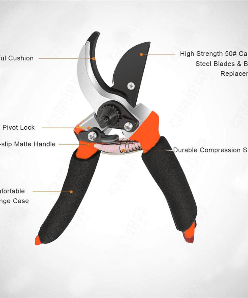 Wall-mounted organizer for garden tools