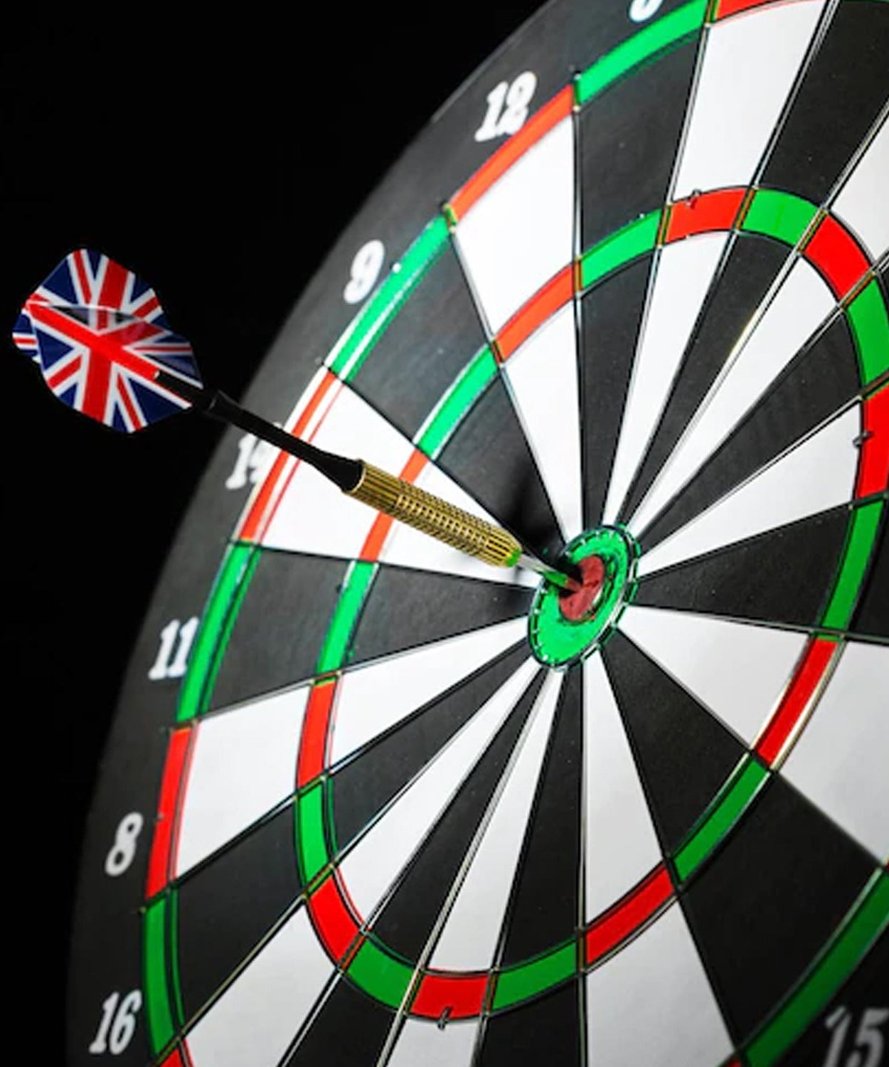 Indoor and outdoor dart set