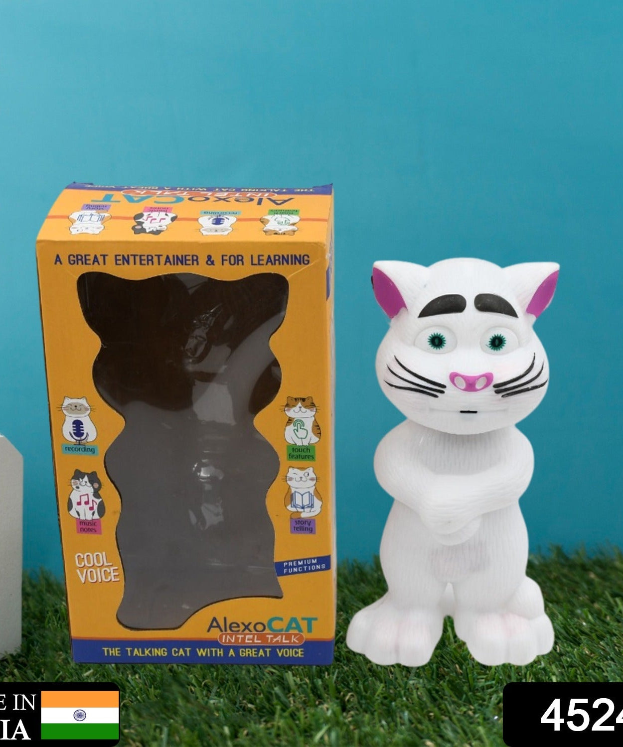 Tom Cat toy with voice features