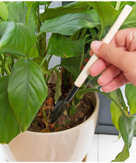 Kid's garden tools including trowel, shovel, and rake
