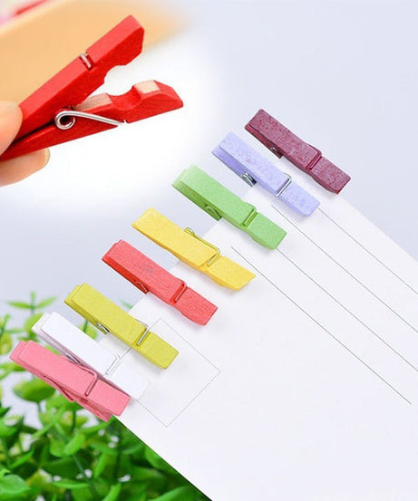 Multipurpose large wooden clips, set of 500 pegs