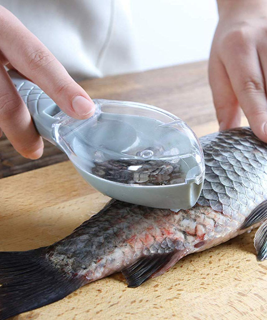 Fish scale scraper and skin peeler tool for kitchen use.