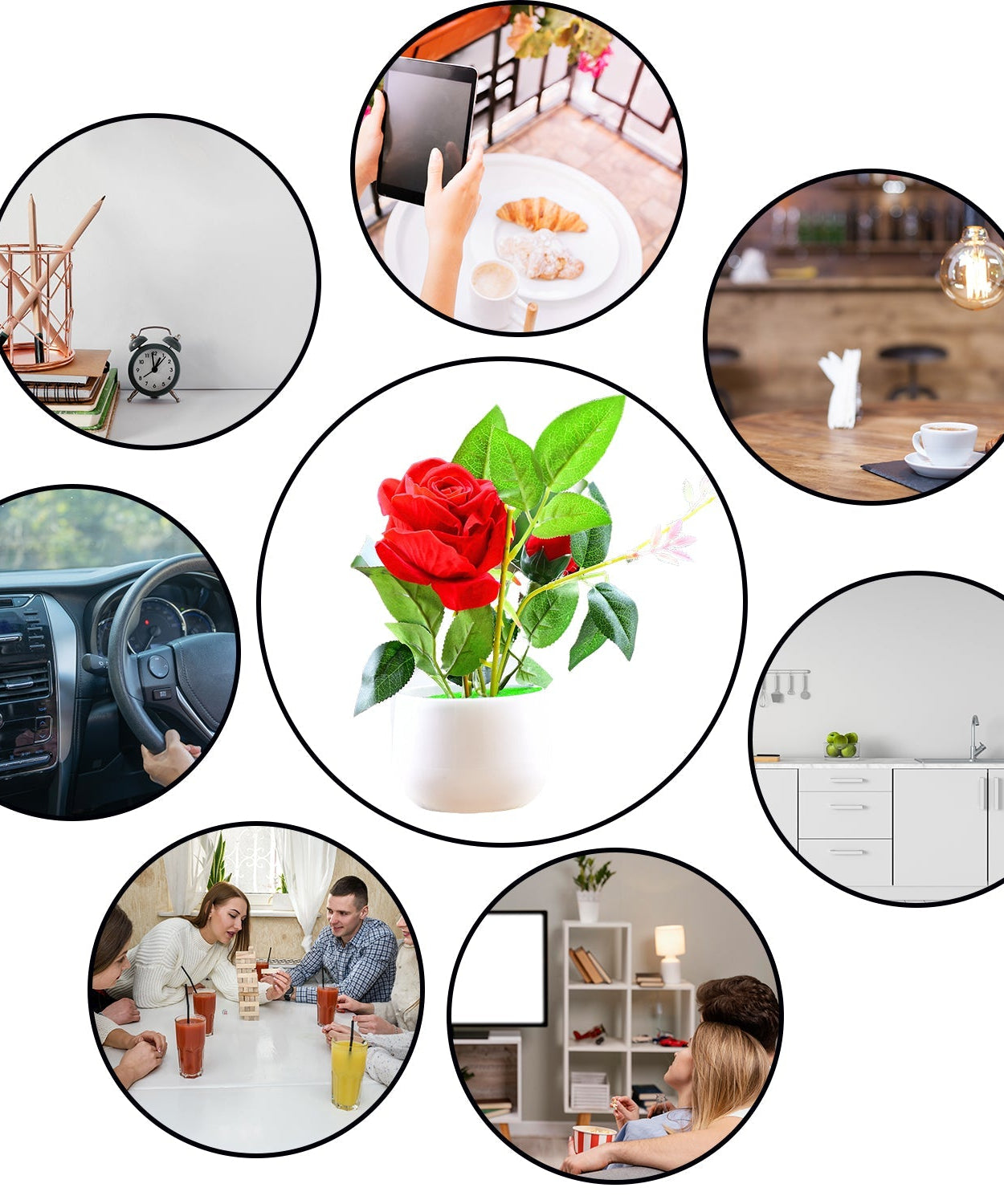 Decorative rose plant with pot for elegant gifts