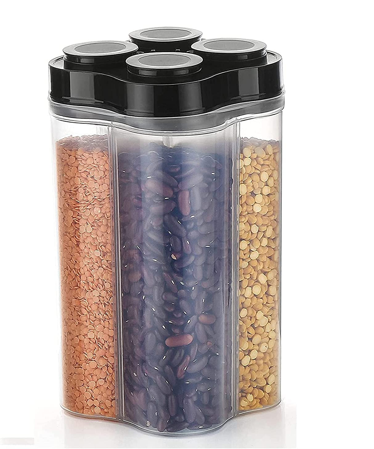 Large 4-section food storage container