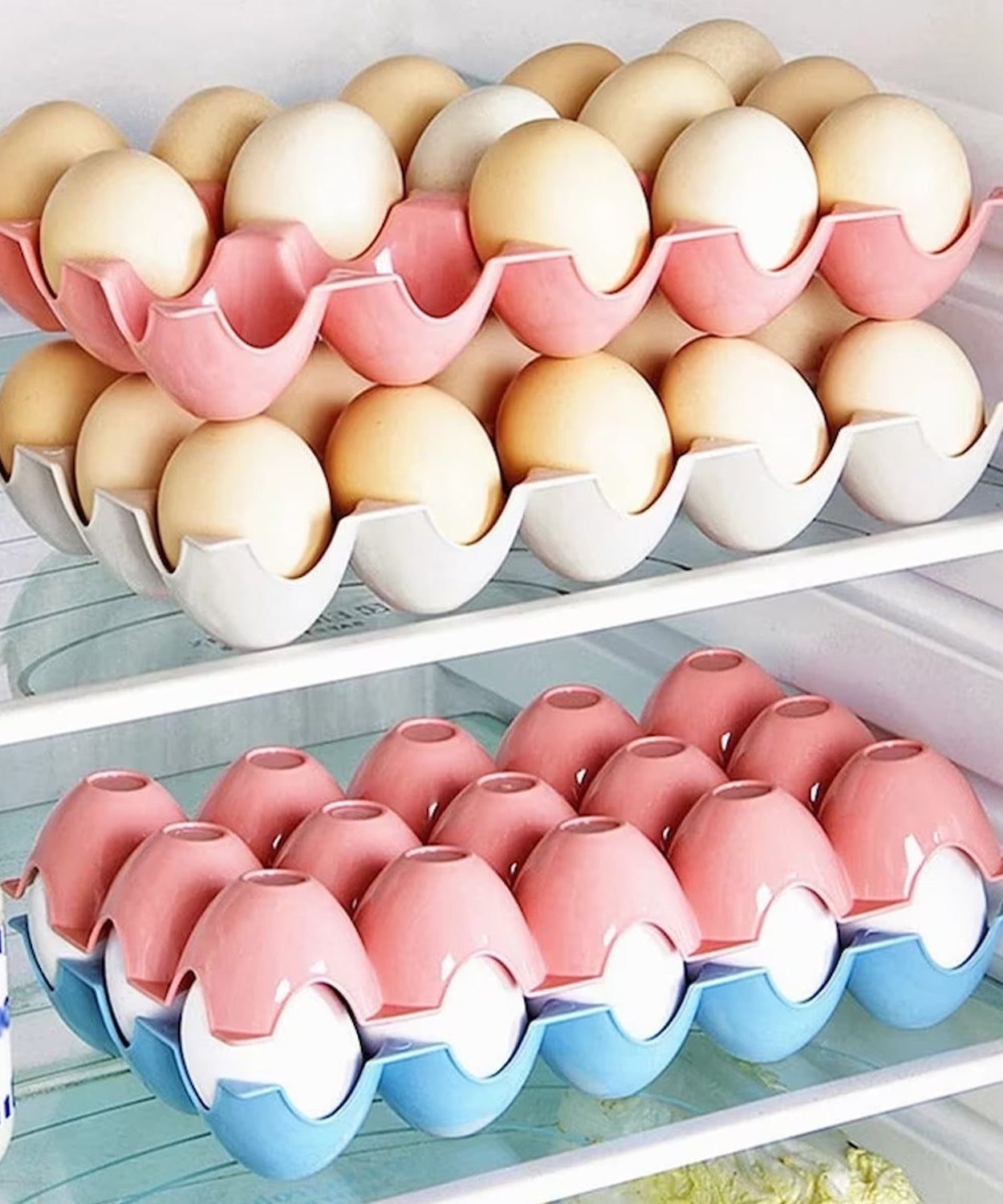 15 egg storage holder