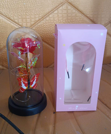 Elegant LED Eternal Rose in Plastic Dome (1 Pc / Battery Not included)