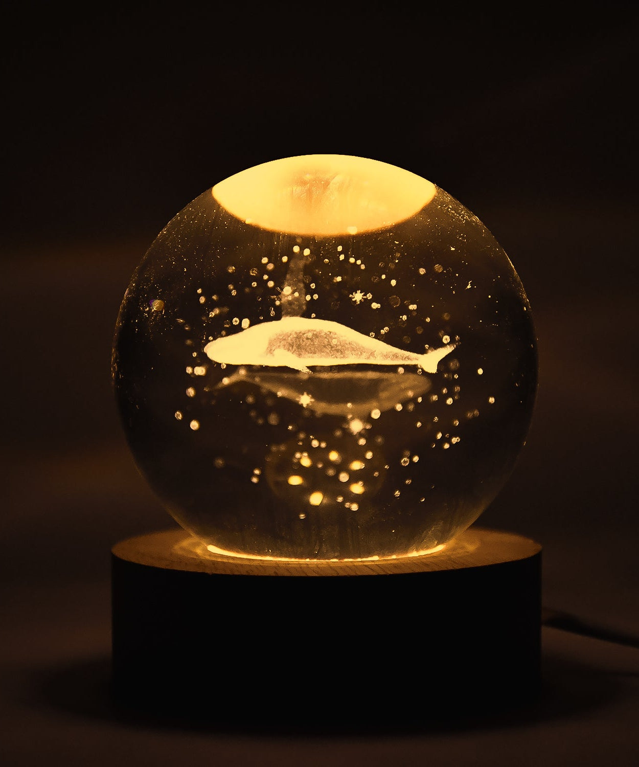 Fish 3D Crystal Ball lamps With Base (1 Pc)