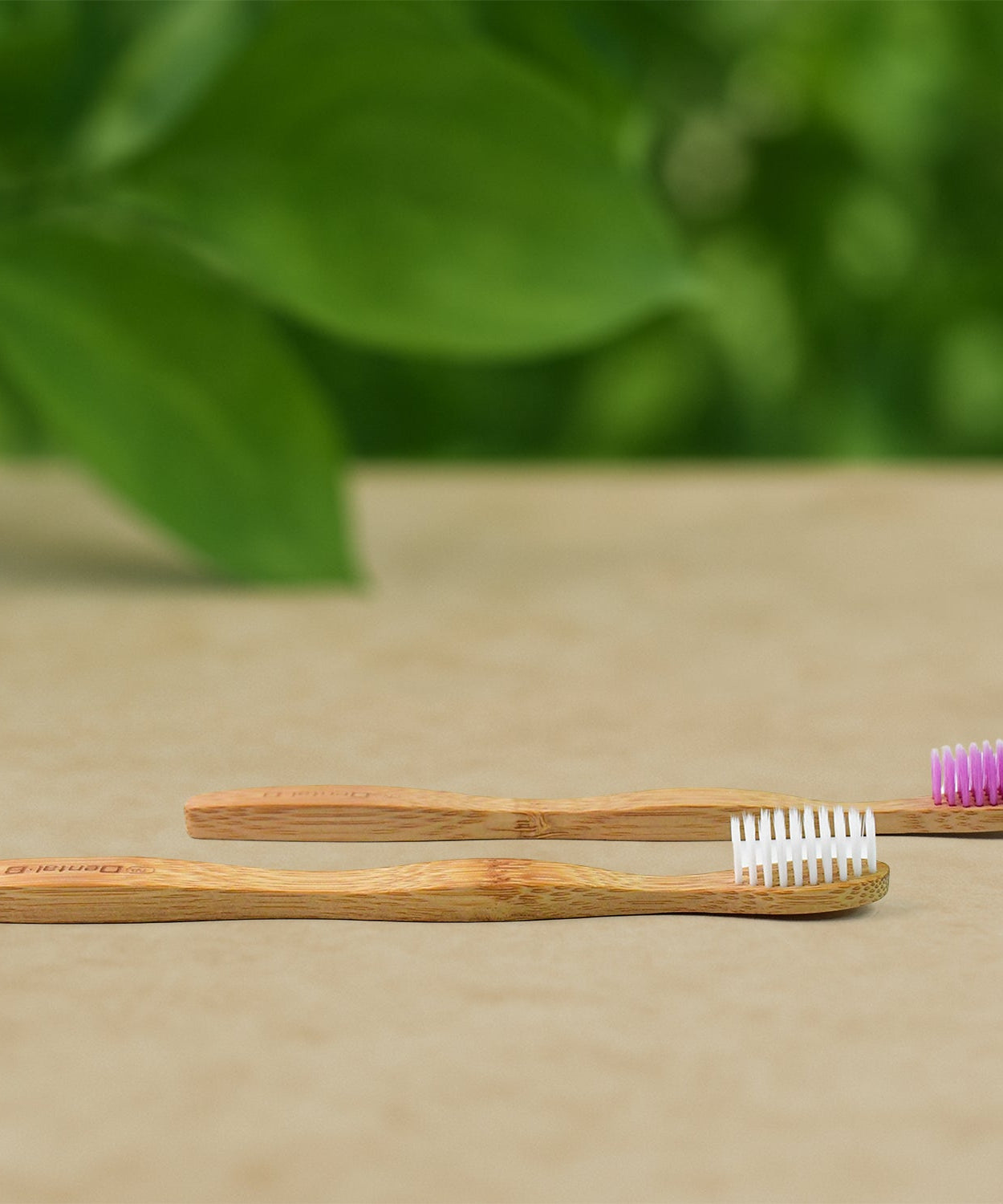 Sustainable Bamboo Toothbrush