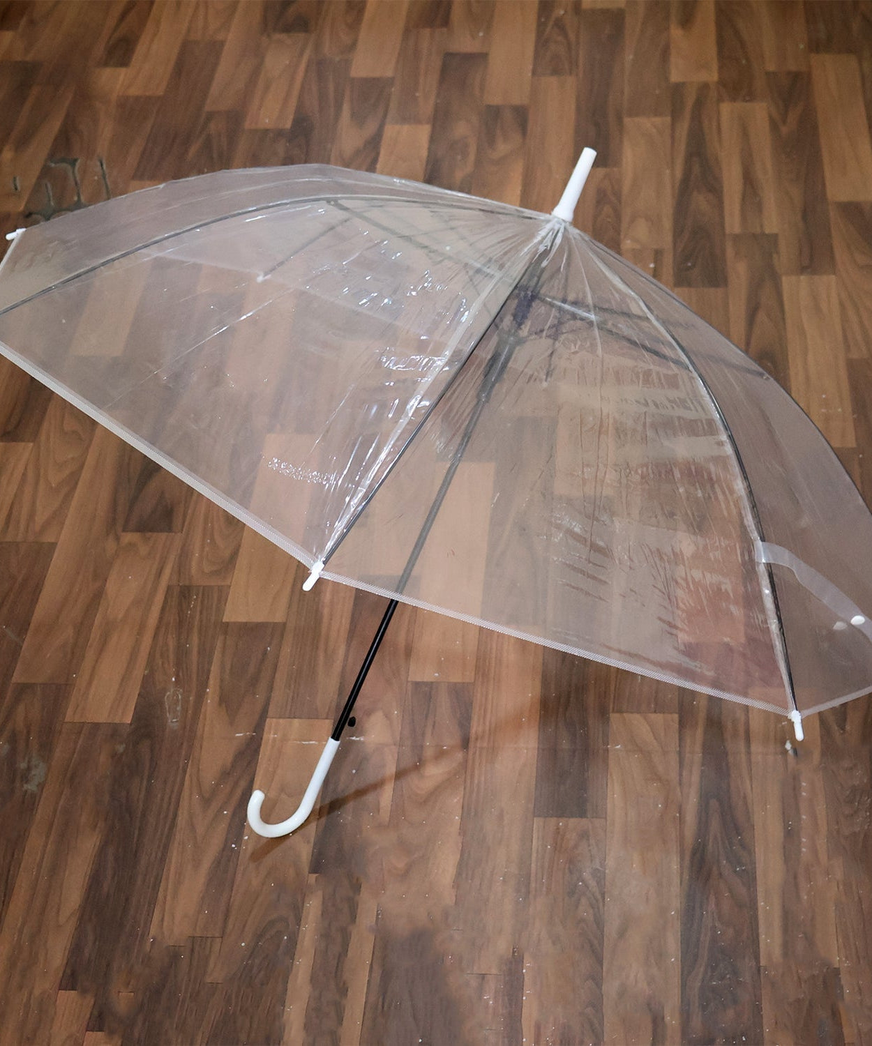 Premium Transparent Dome Umbrella with Curved Handle (1 Pc)