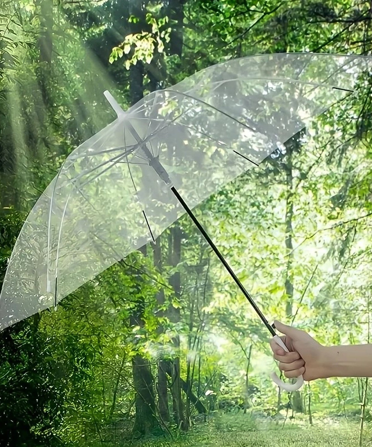 Clear Dome Umbrella