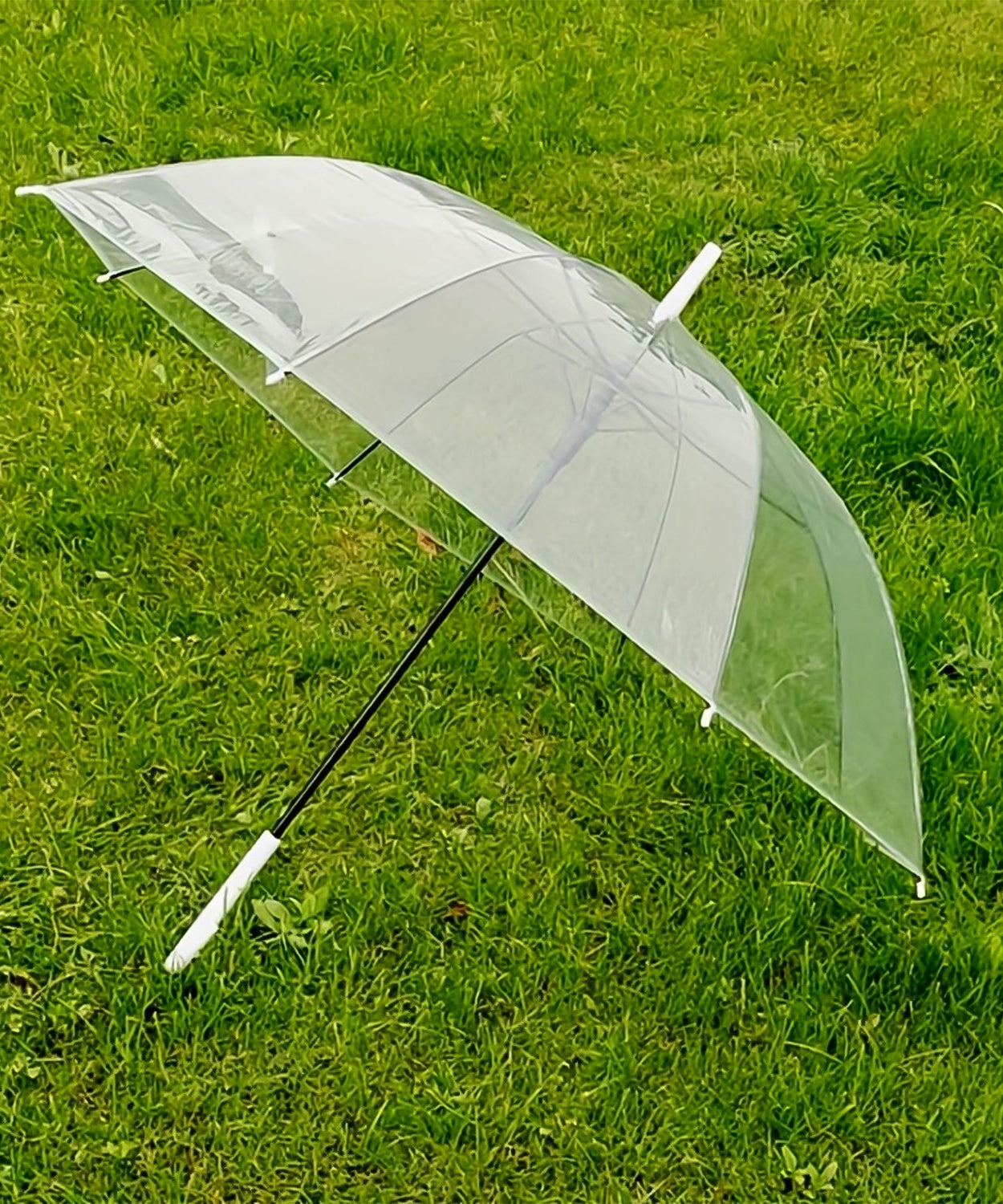 Curved Handle Umbrella