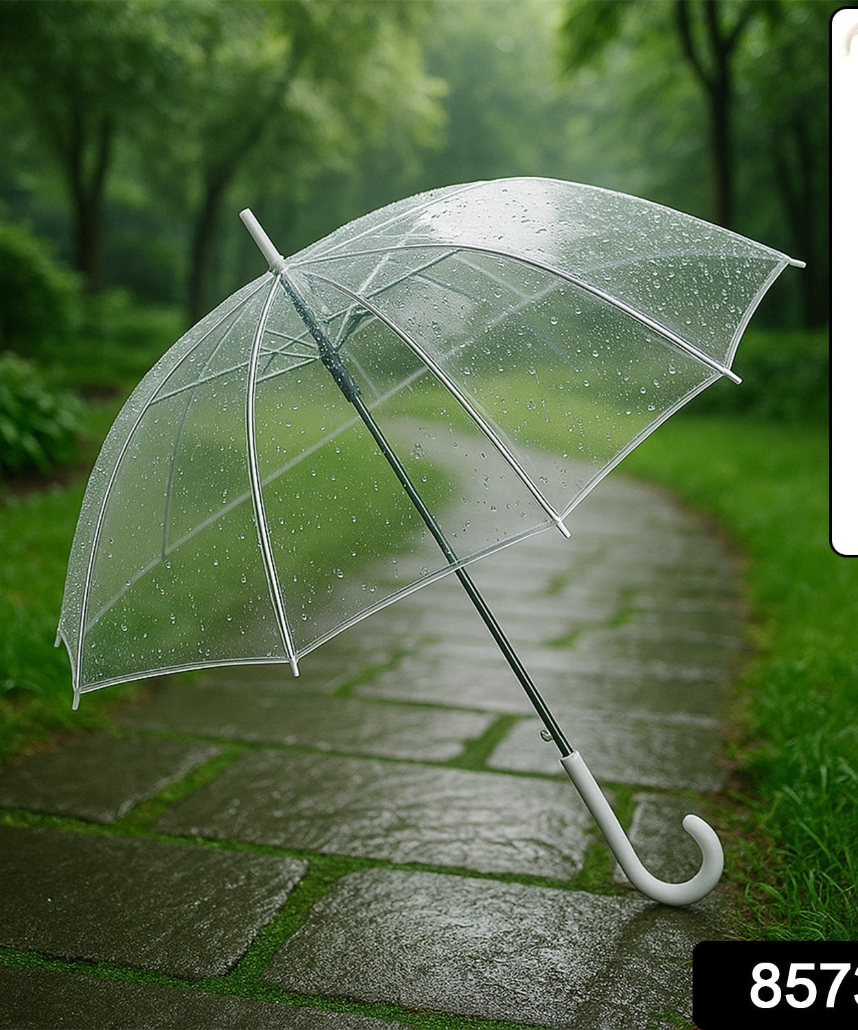 Transparent Umbrella