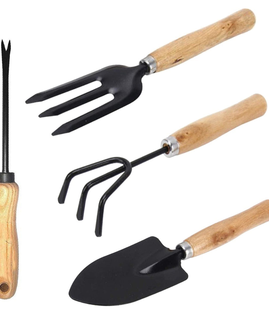 Gardening tools set with spade, rake, and trowel.