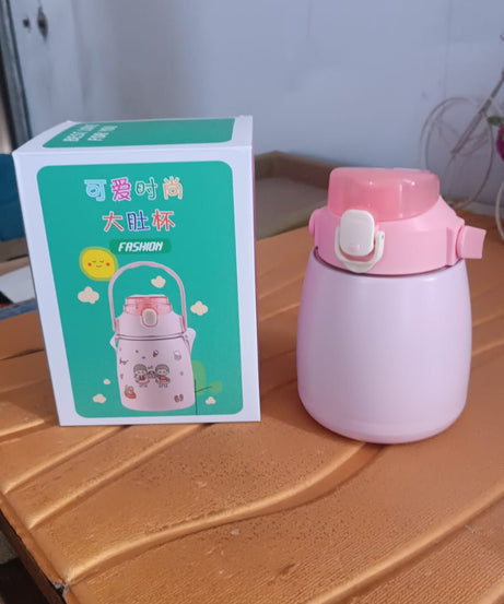 Stainless Steel Vacuum Insulated Water Bottle with Handle & Sticker (700 ML)