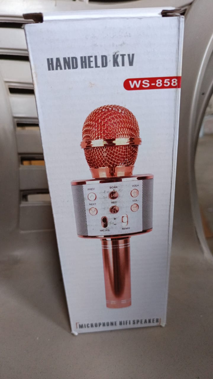 Portable karaoke mic with Bluetooth function