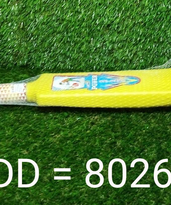 Cricket bat and ball for kids