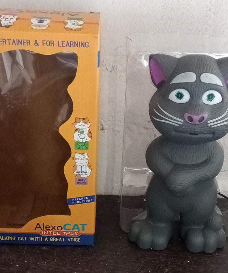 Interactive toy for home decor