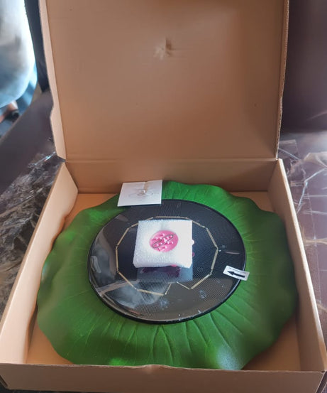 Decorative Solar-Powered Floating Water Fountain Pump