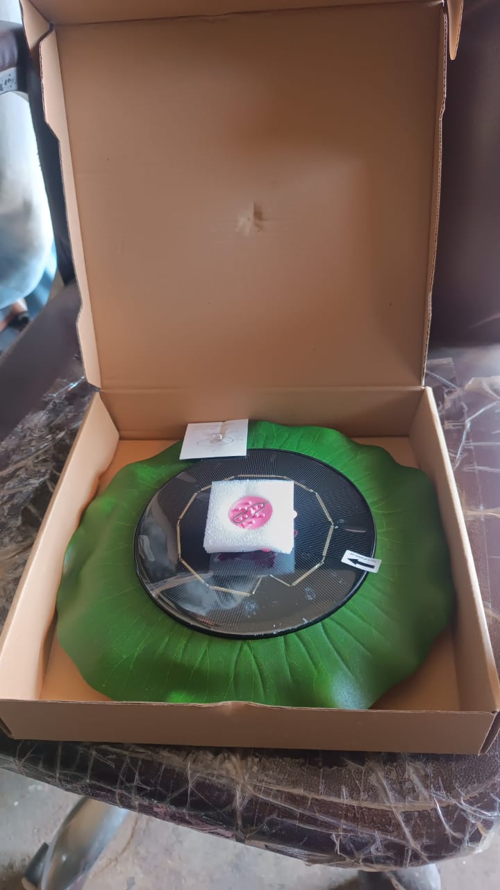 Decorative Solar-Powered Floating Water Fountain Pump